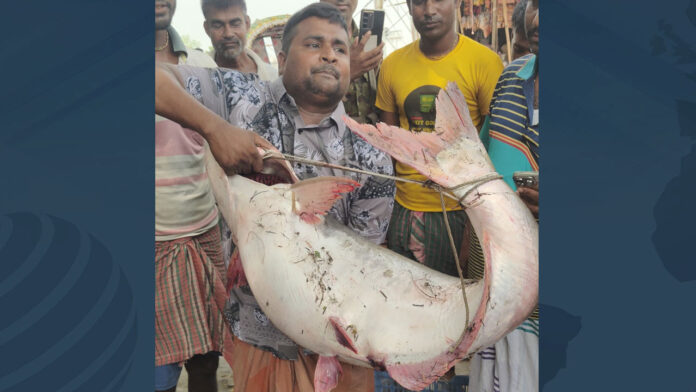 rajbari-20250925192152