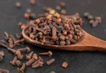 কাশি সারাতে লবঙ্গের ব্যবহার জেনে নিন