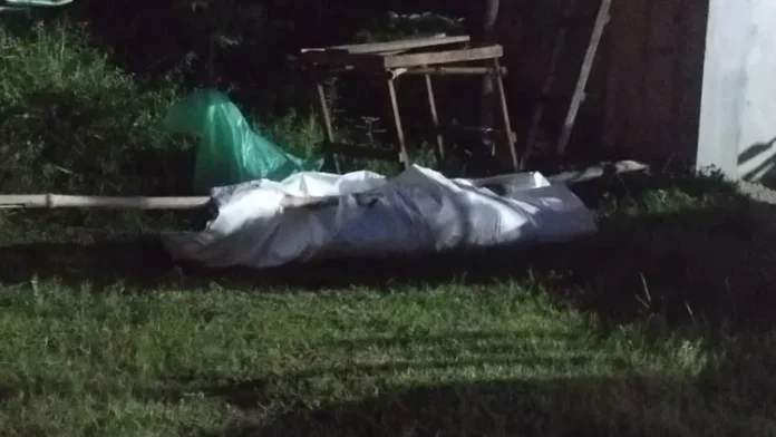 deadbody-20260701083629