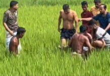 ভালুকায় ধানক্ষেতে বিদ্যুতের ছেঁড়া তারে জড়িয়ে দুই কৃষকের মৃত্যু